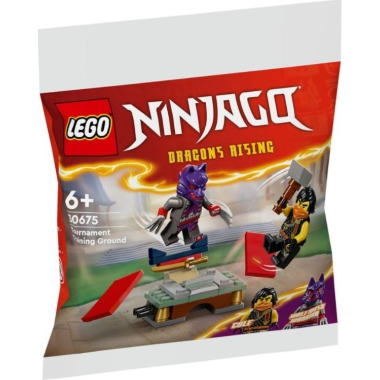 Lego 30675 Ninjago Tournament Training Ground Polybag