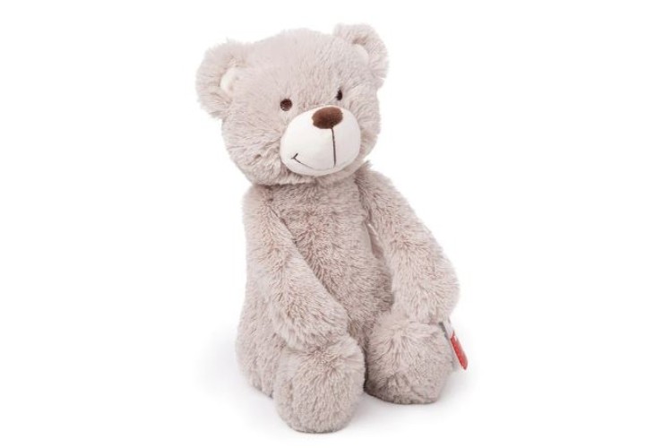 Bigjigs Buddy Bear BB605