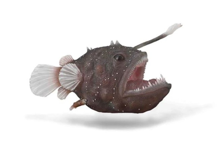 Bigjigs CollectA Anglerfish 88967