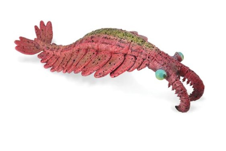 Bigjigs CollectA Anomalocaris 88977