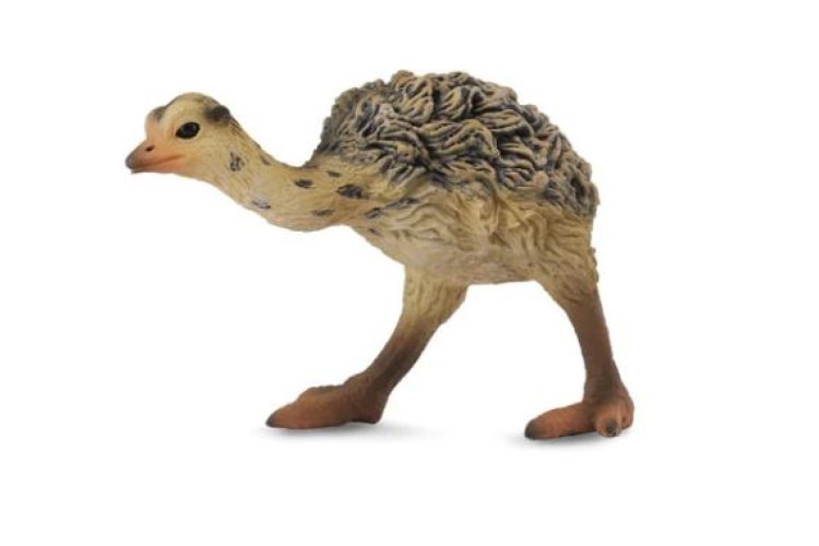 Bigjigs CollectA Chick-Walking 88461