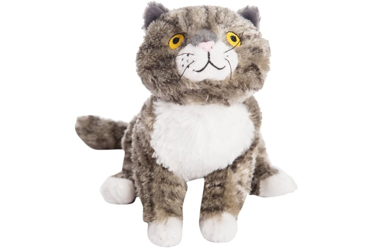 Aurora Mog The Forgetful Cat 10