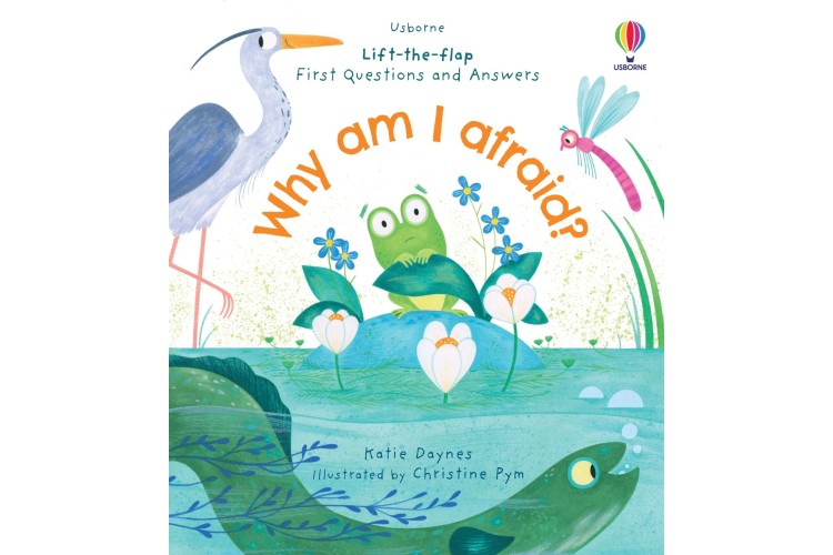 Usborne Lift-the-Flap First Questions and Answers Why Am I Afraid! - Usborne Lift-the-Flap First Questions and Answers Why Am I Afraid! -