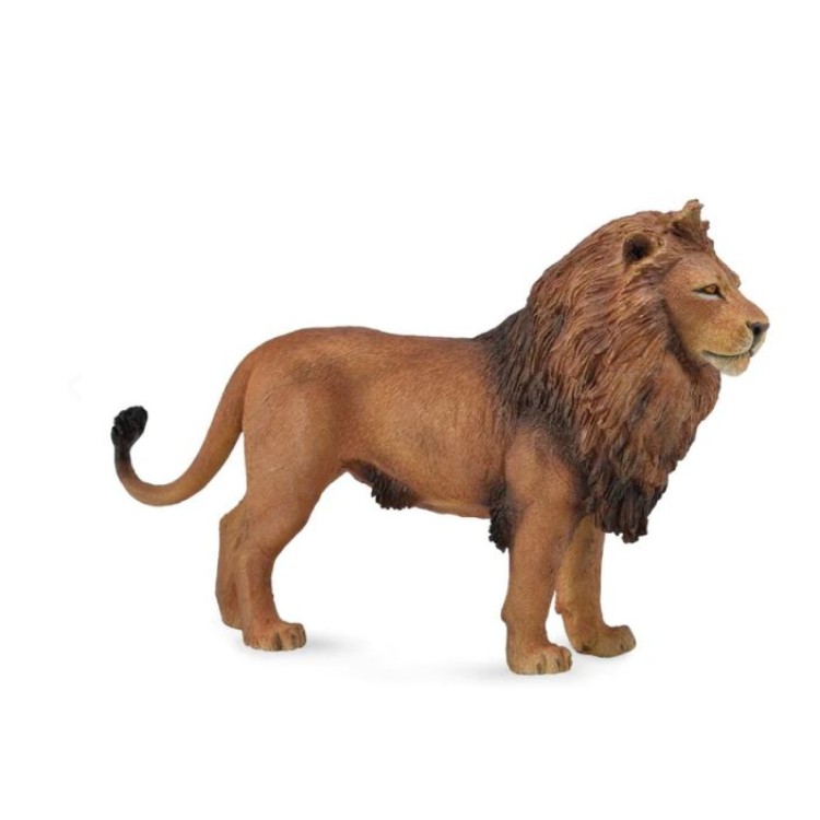 Bigjigs CollectA African Lion 88782