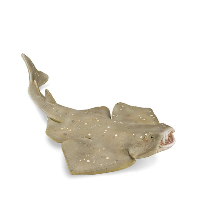 Bigjigs CollectA Angel Shark 88999