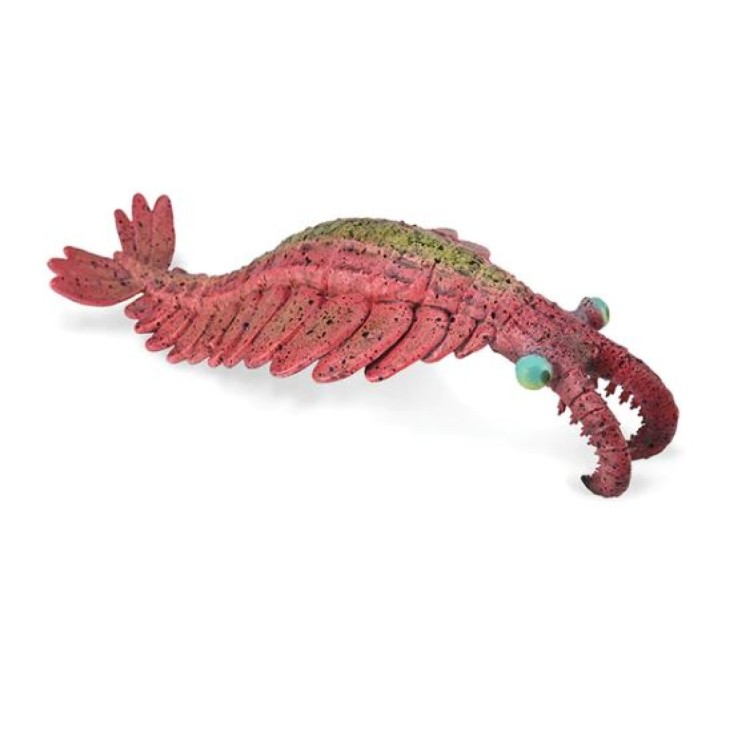Bigjigs CollectA Anomalocaris 88977