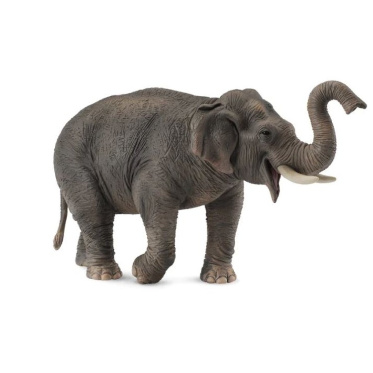 Bigjigs CollectA Asian Elephant 88486