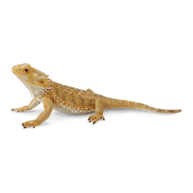 Bigjigs CollectA Bearded Dragon Lizard 9588567