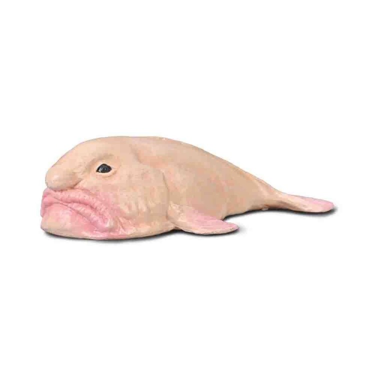 Bigjigs CollectA Blobfish 80037