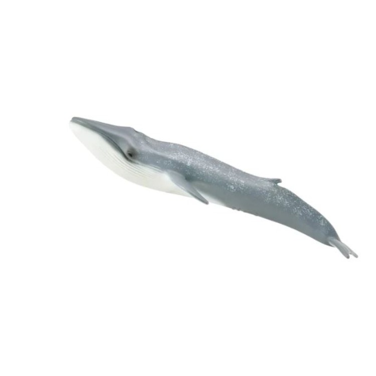 Bigjigs CollectA Blue Whale 88834