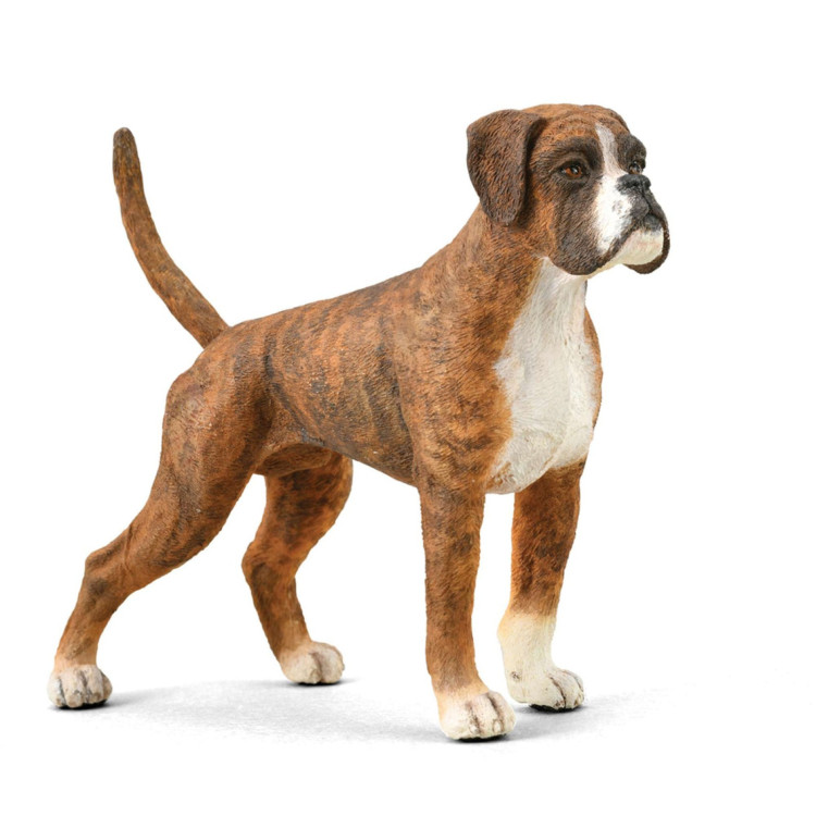 Bigjigs CollectA Boxer 88936