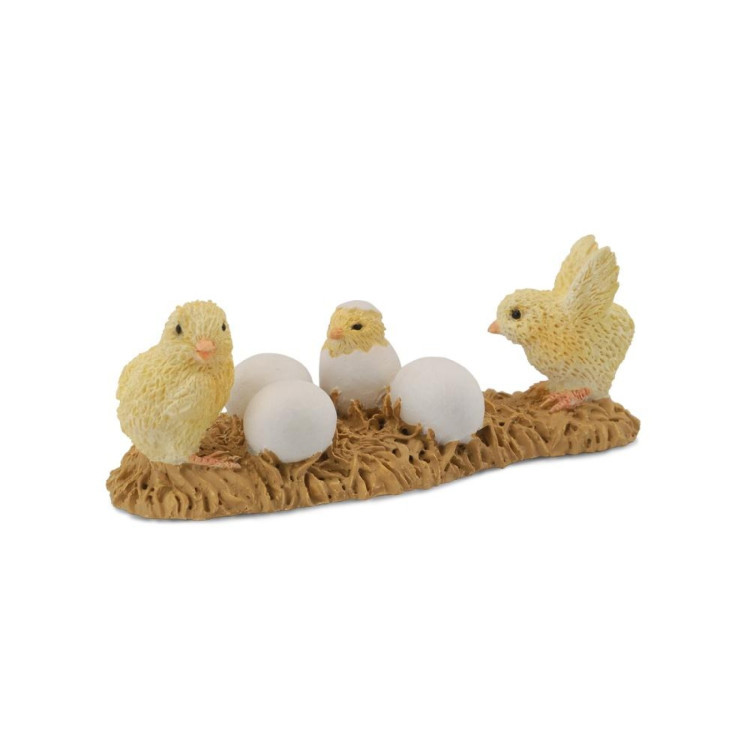 Bigjigs CollectA Chicks Hatching  88480