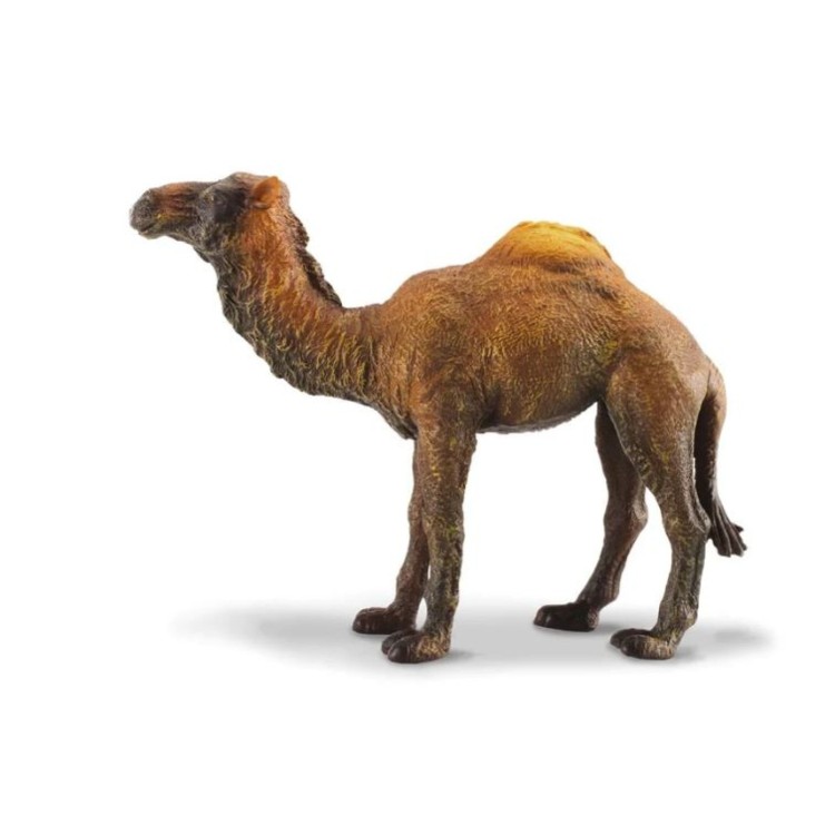 Bigjigs CollectA Dromedary Camel 88208
