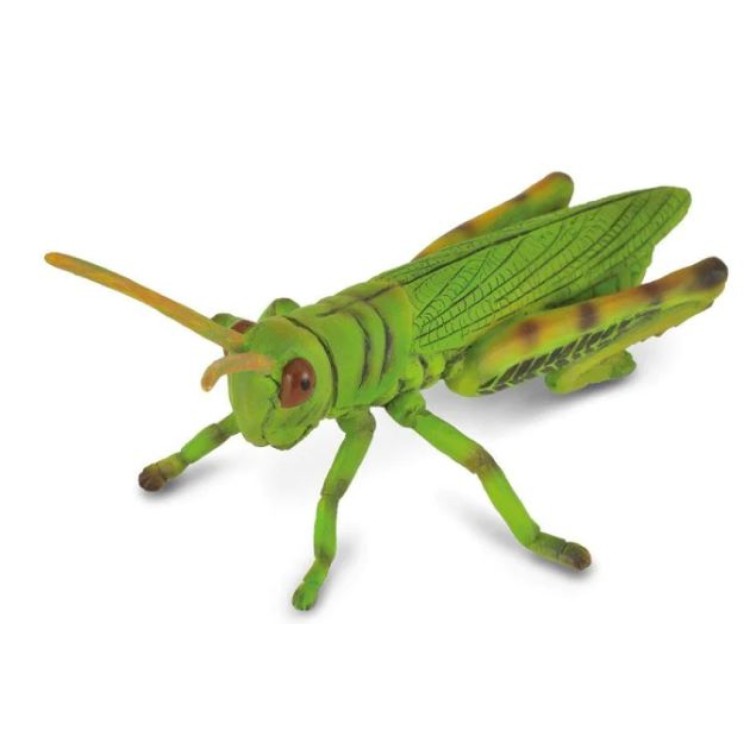 Bigjigs CollectA Grasshopper 88352