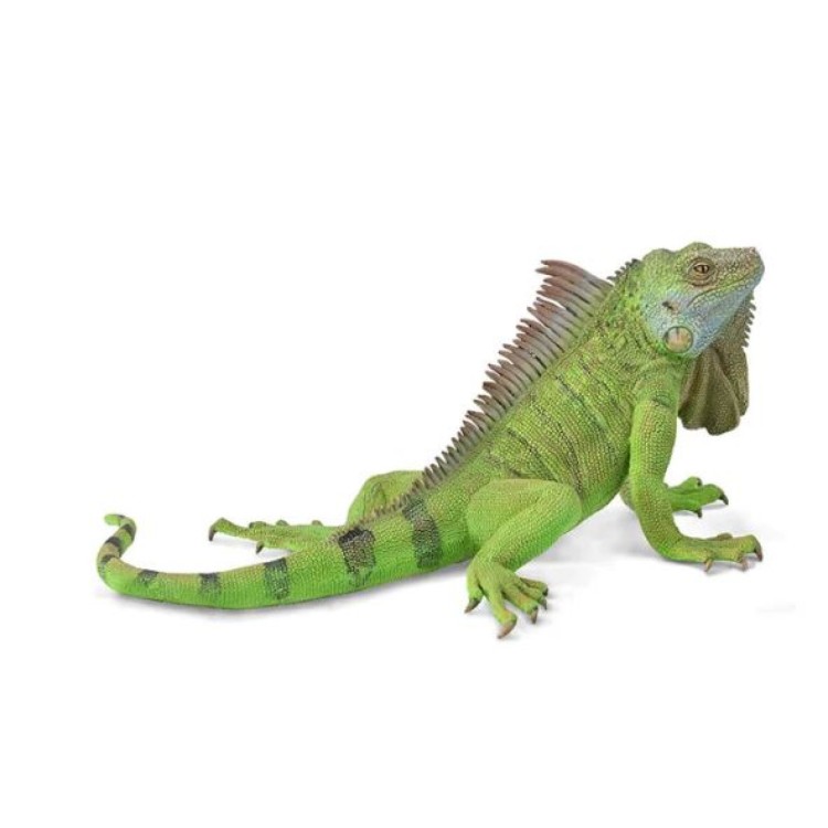 Bigjigs CollectA Iguana 88965