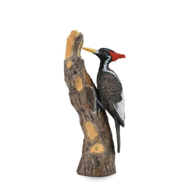 Bigjigs CollectA Ivory-Billed Woodpecker 88802
