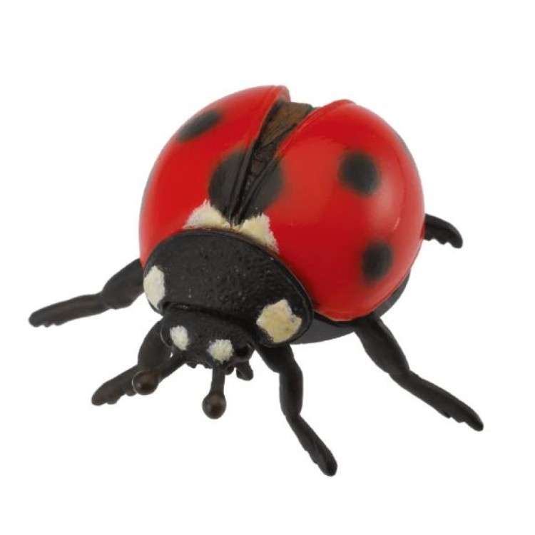 Bigjigs CollectA Ladybird Ladybug