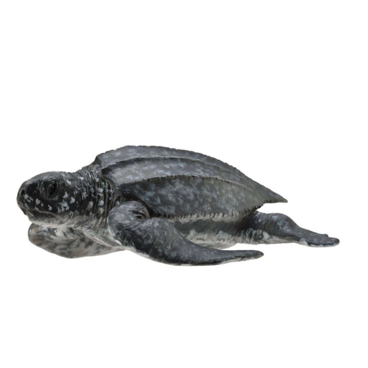 Bigjigs CollectA Leatherback Sea Turtle