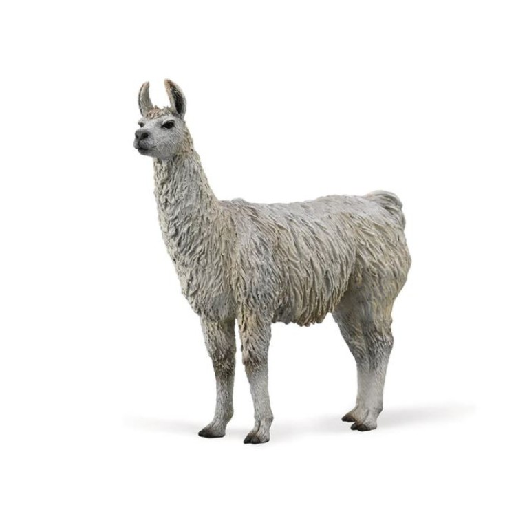 Bigjigs CollectA Llama 88991