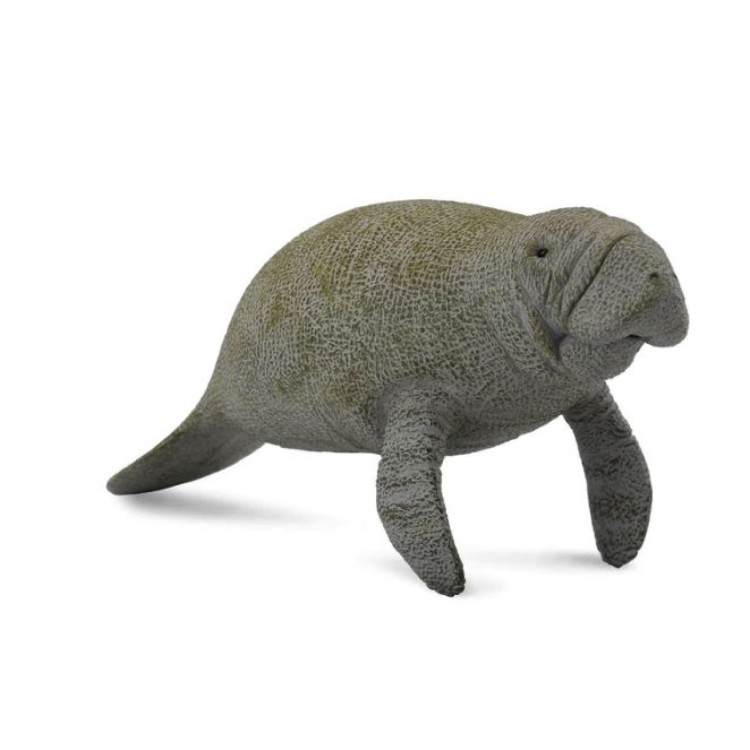 Bigjigs CollectA Manatee 88455