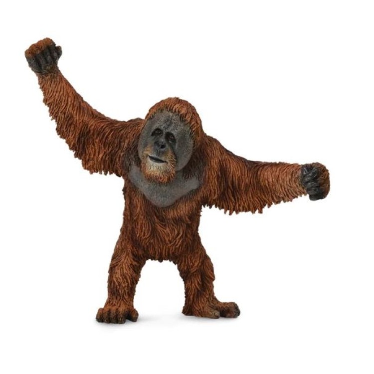Bigjigs CollectA Orangutan 88730