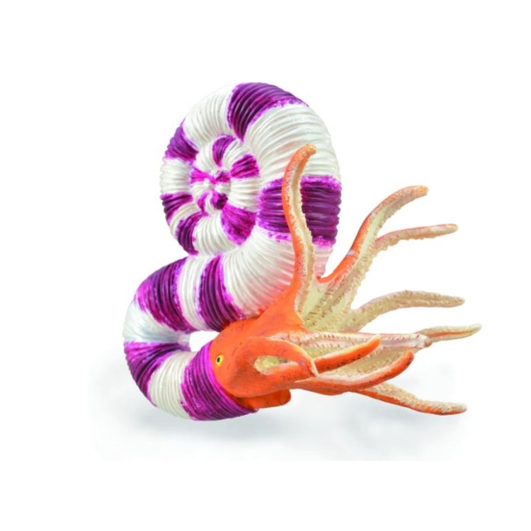 Bigjigs CollectA Pavitoceras