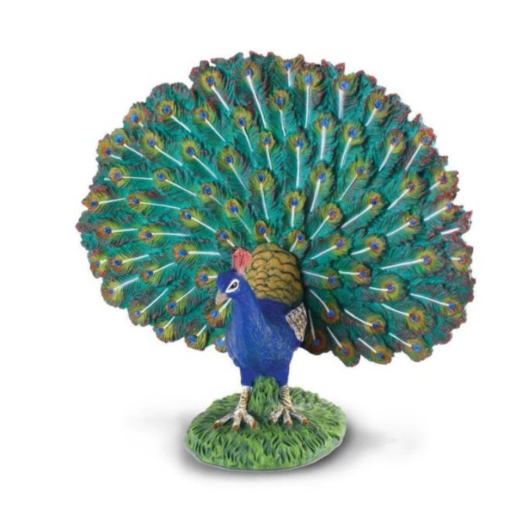 Bigjigs CollectA Peacock 88209