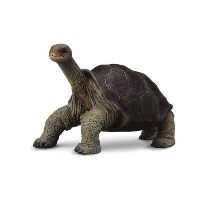 Bigjigs CollectA Pinta Island Tortoise 88619