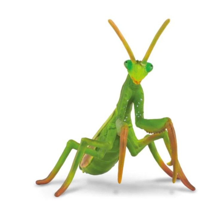 Bigjigs CollectA Praying Mantis