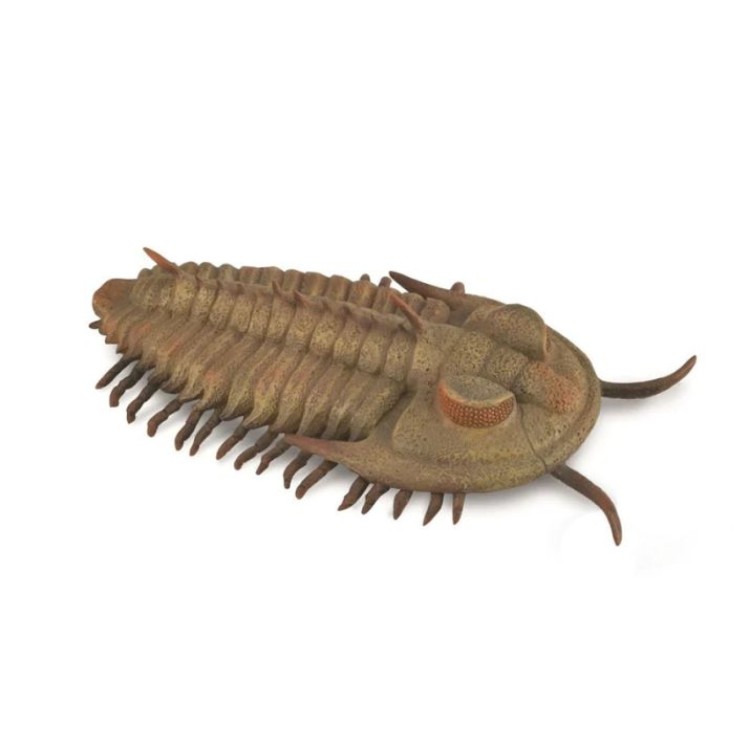 Bigjigs CollectA Redlichia Rex Trilobite