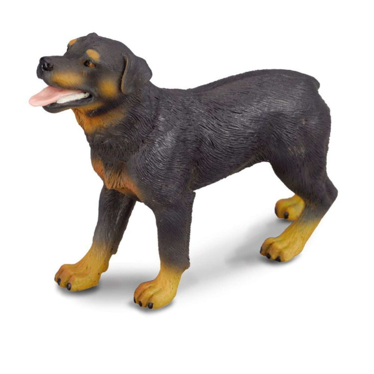 Bigjigs CollectA Rottweiller 88189