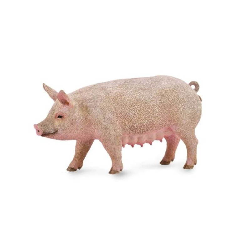 Bigjigs CollectA Sow Pig 88863