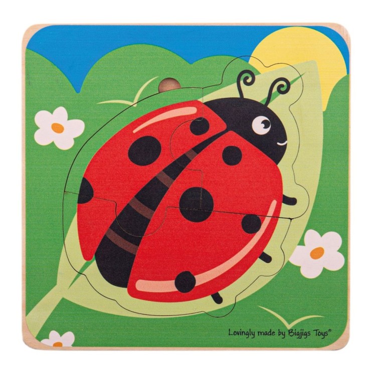 Bigjigs Lifecycle Layer Puzzle Ladybug 33029