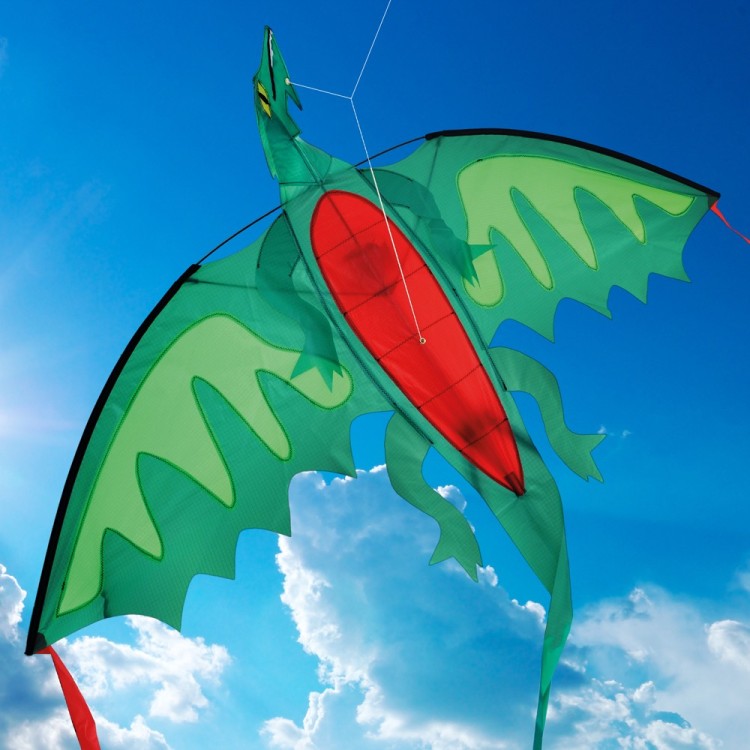 Brookite Chinese Dragon Fun Kite