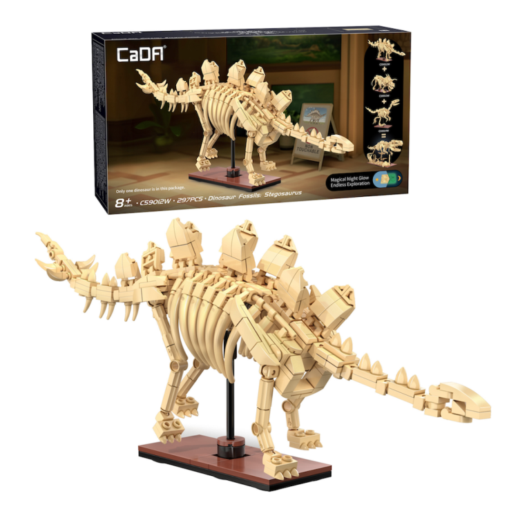 Cada Dinosaur Fossils: Stegosaurus C59012W