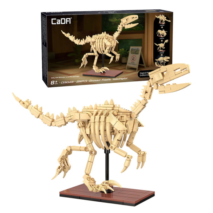 Cada Dinosaur Fossils: Velociraptor C59014W