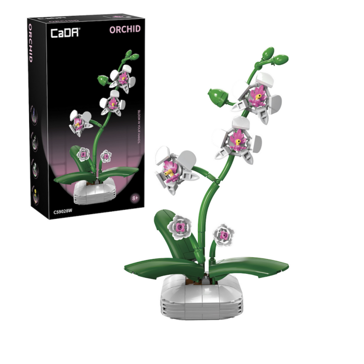 Cada Flowers: Orchids C59028W