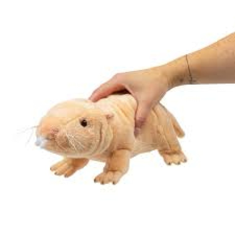 1FF Tobar Animigos Naked Mole Rat 38733
