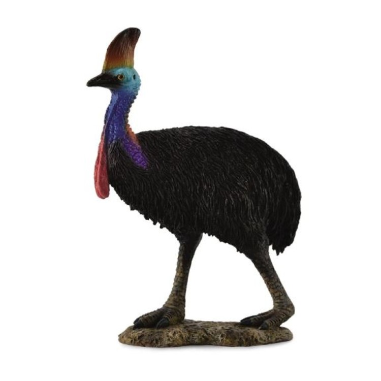 Bigjigs CollectA Southern Cassowary