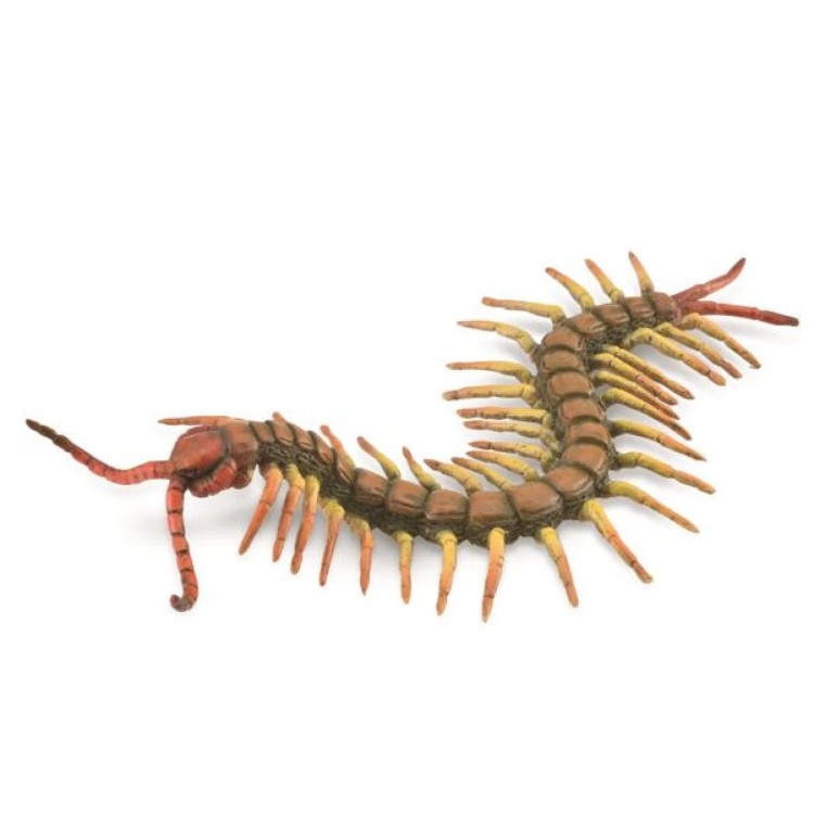 Bigjigs CollectA Centipede
