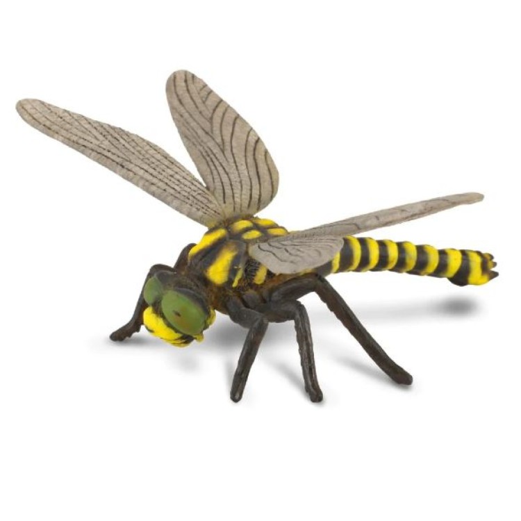 Bigjigs CollectA Golden Ringed Dragonfly