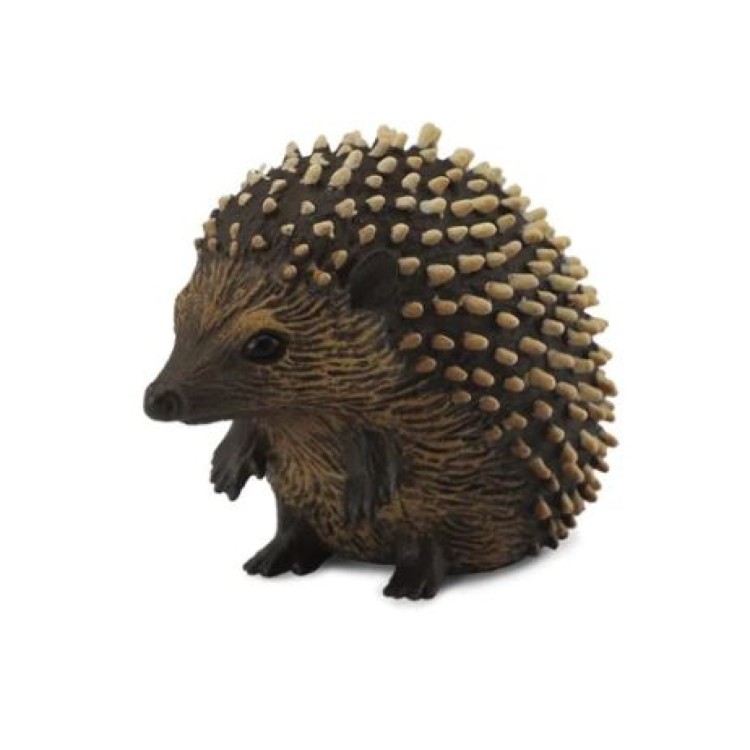 Bigjigs CollectA Hedgehog