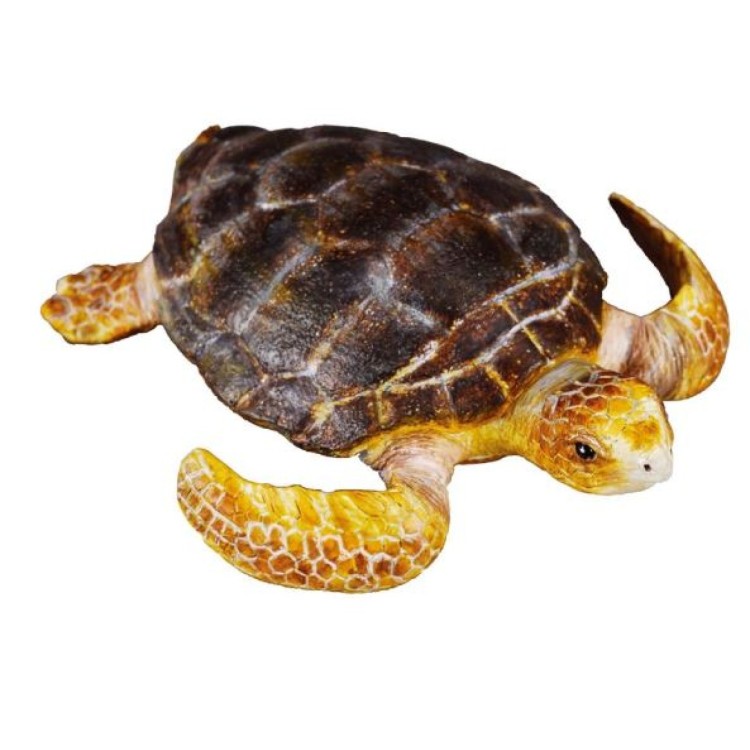 Bigjigs CollectA Loggerhead Turtle
