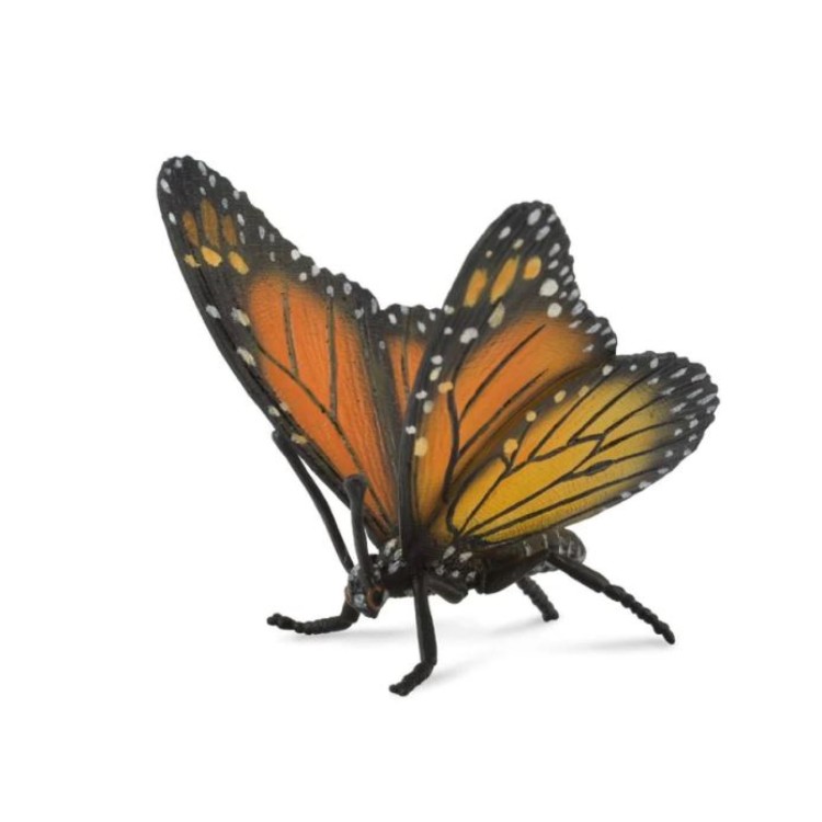 Bigjigs CollectA Moncarch Butterfly