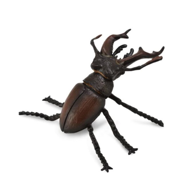 Bigjigs CollectA Stag Beetle 88703