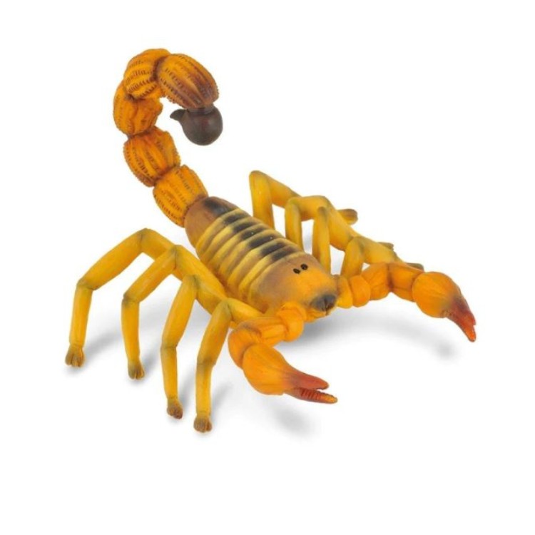 Bigjigs CollectA Yellow Fat-Tailed Scorpion