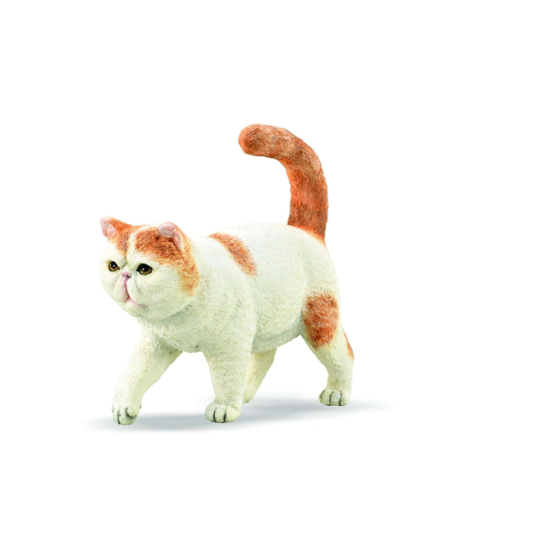 Bigjigs Collecta Exotic Shorthair Cat 88937