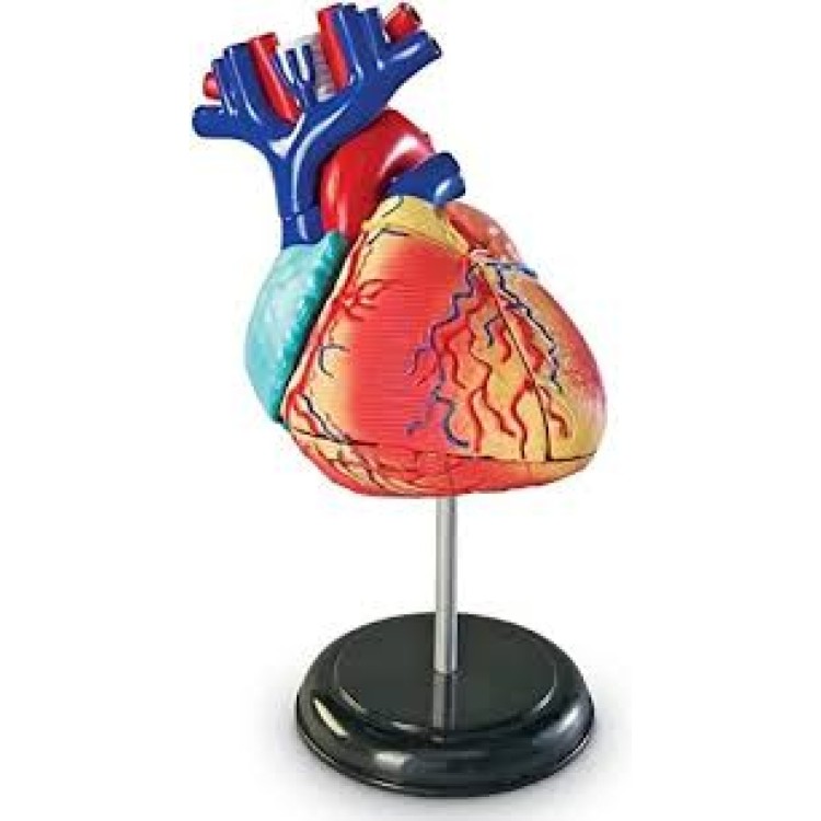 DAMAGED BOX SALE National Geographic The Human Heart