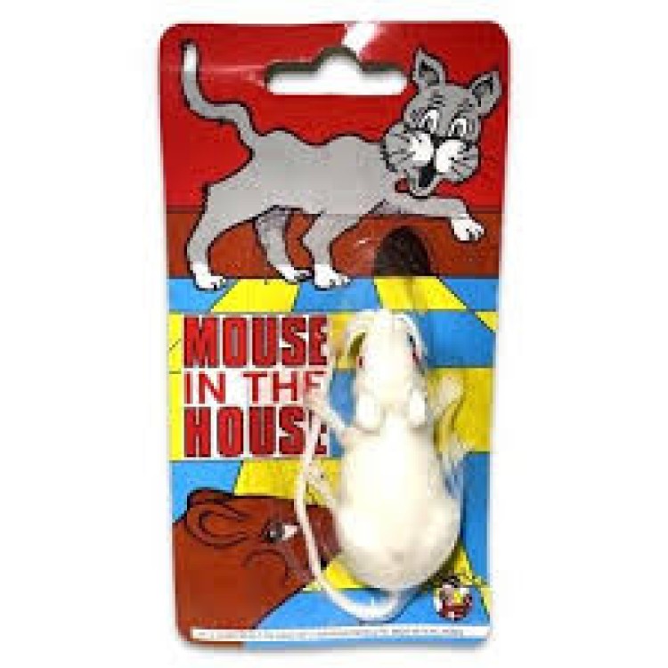 Funnyman Mouse In The House