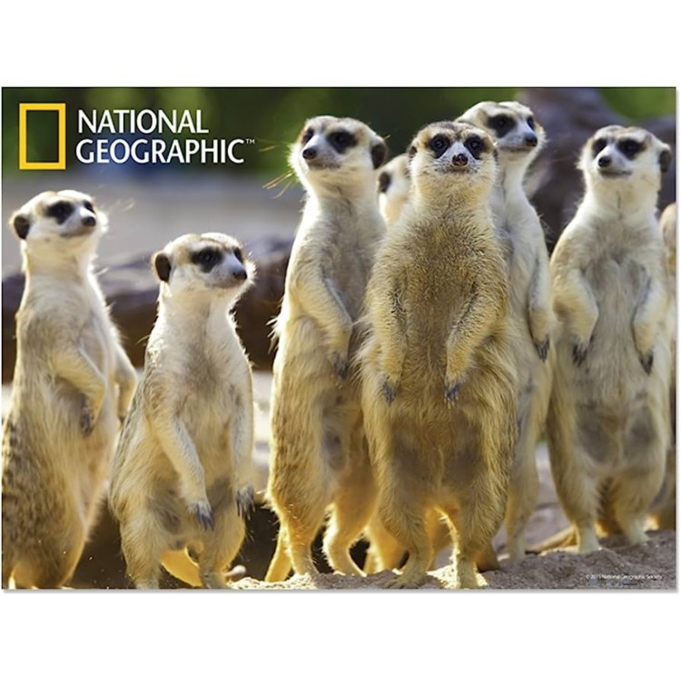 Kidicraft Holographic Lenticular Placemat - National Geographic Meerkat